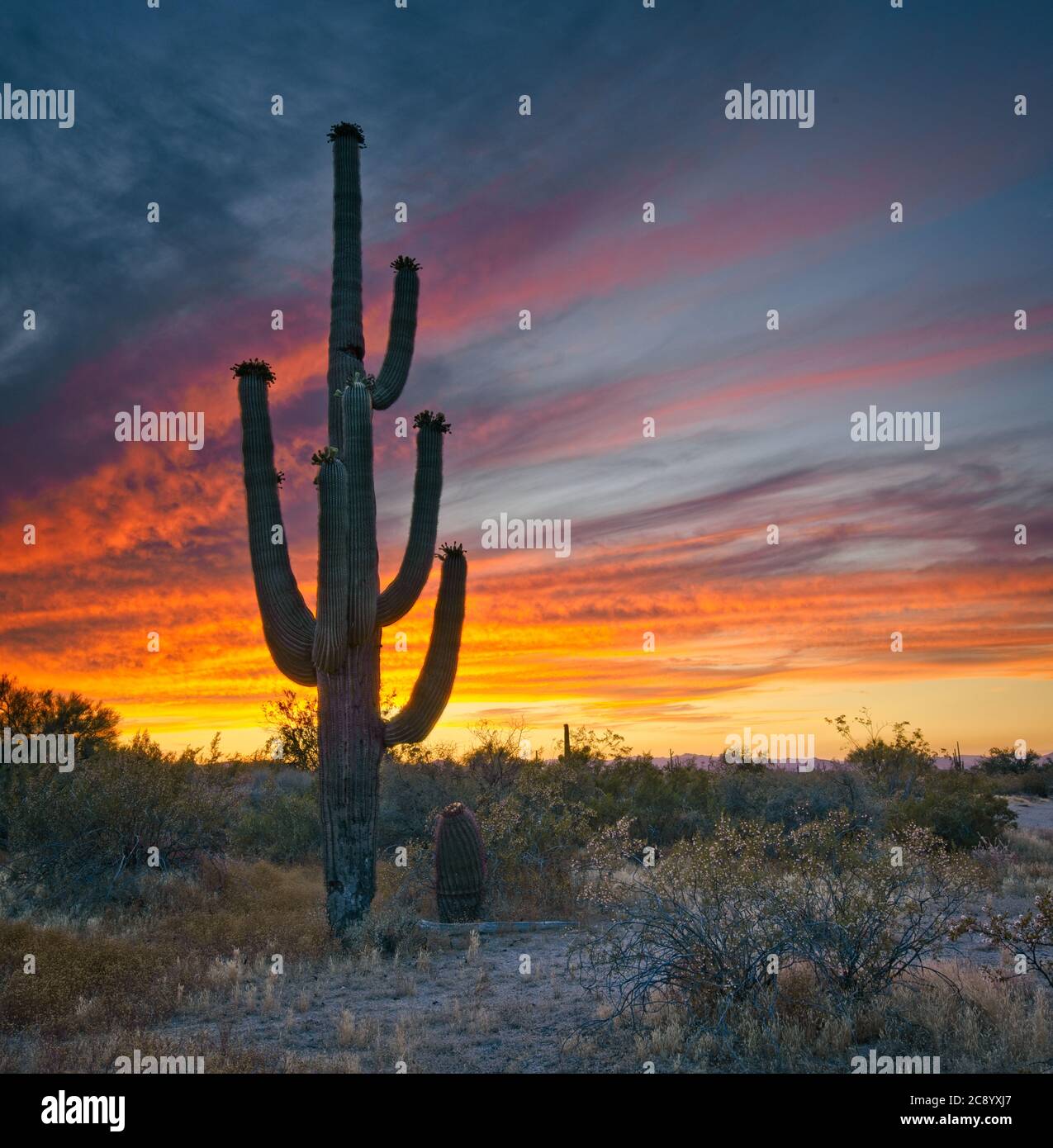 A photo of the sunset at the East Peoria Preserve near Phoenix, Arizona