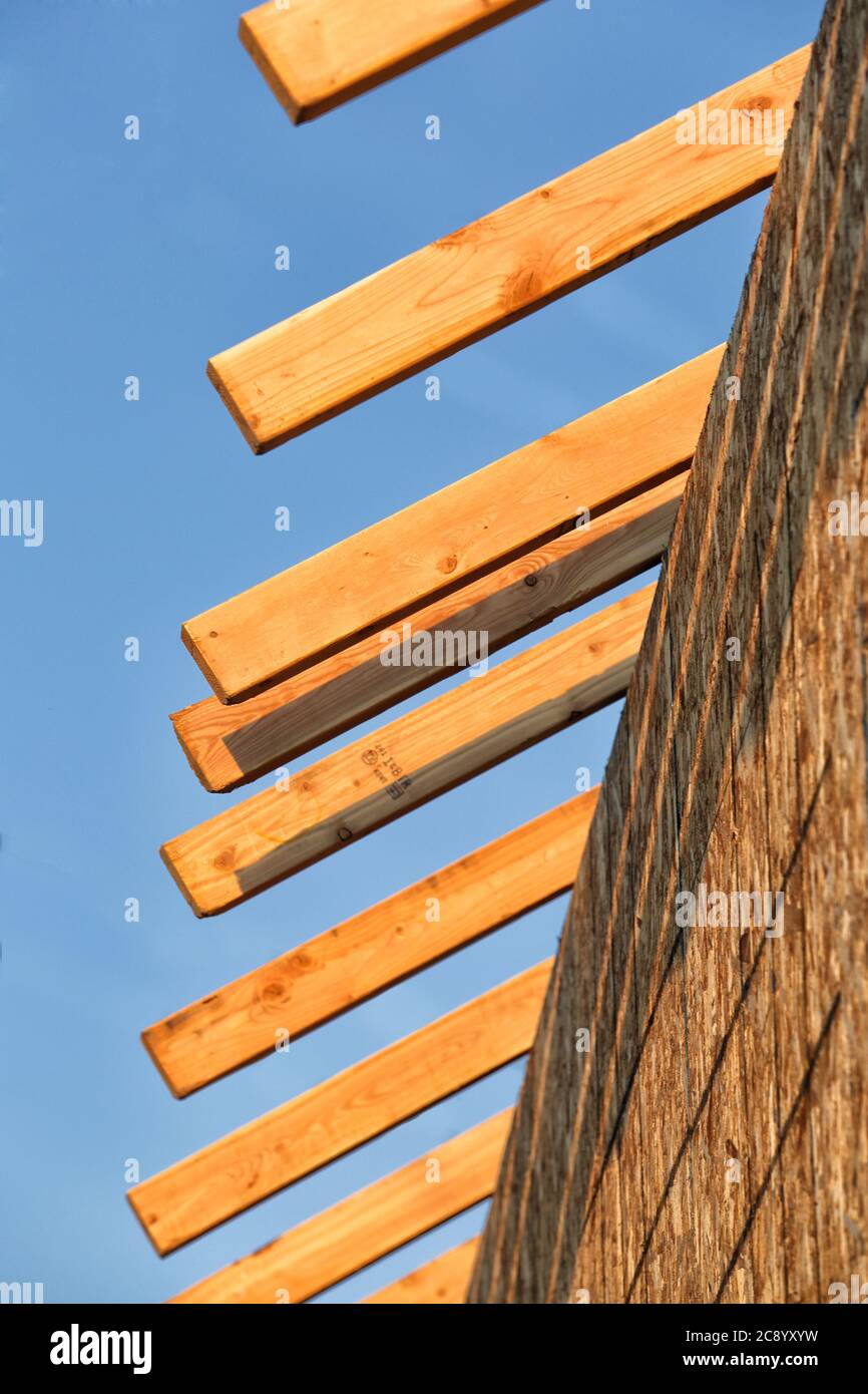 Rhe eaves abd walls of a stickbuilt residential building, with fir roof trusses and oriented strand board sheathing, under construction. Stock Photo