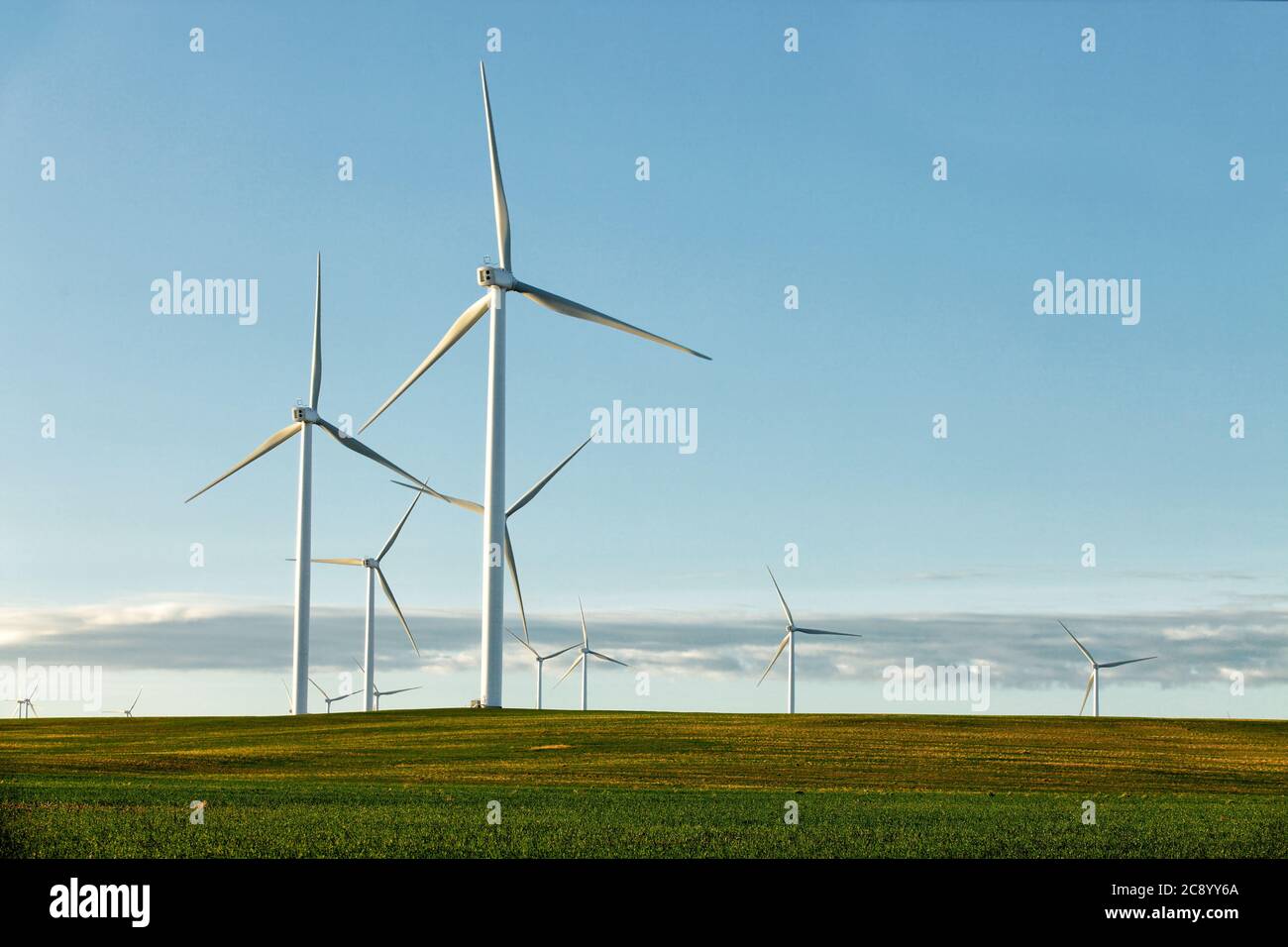 An early morning view of rows of ecologically friendly wind generators, on a wind farm n a farm field. Stock Photo