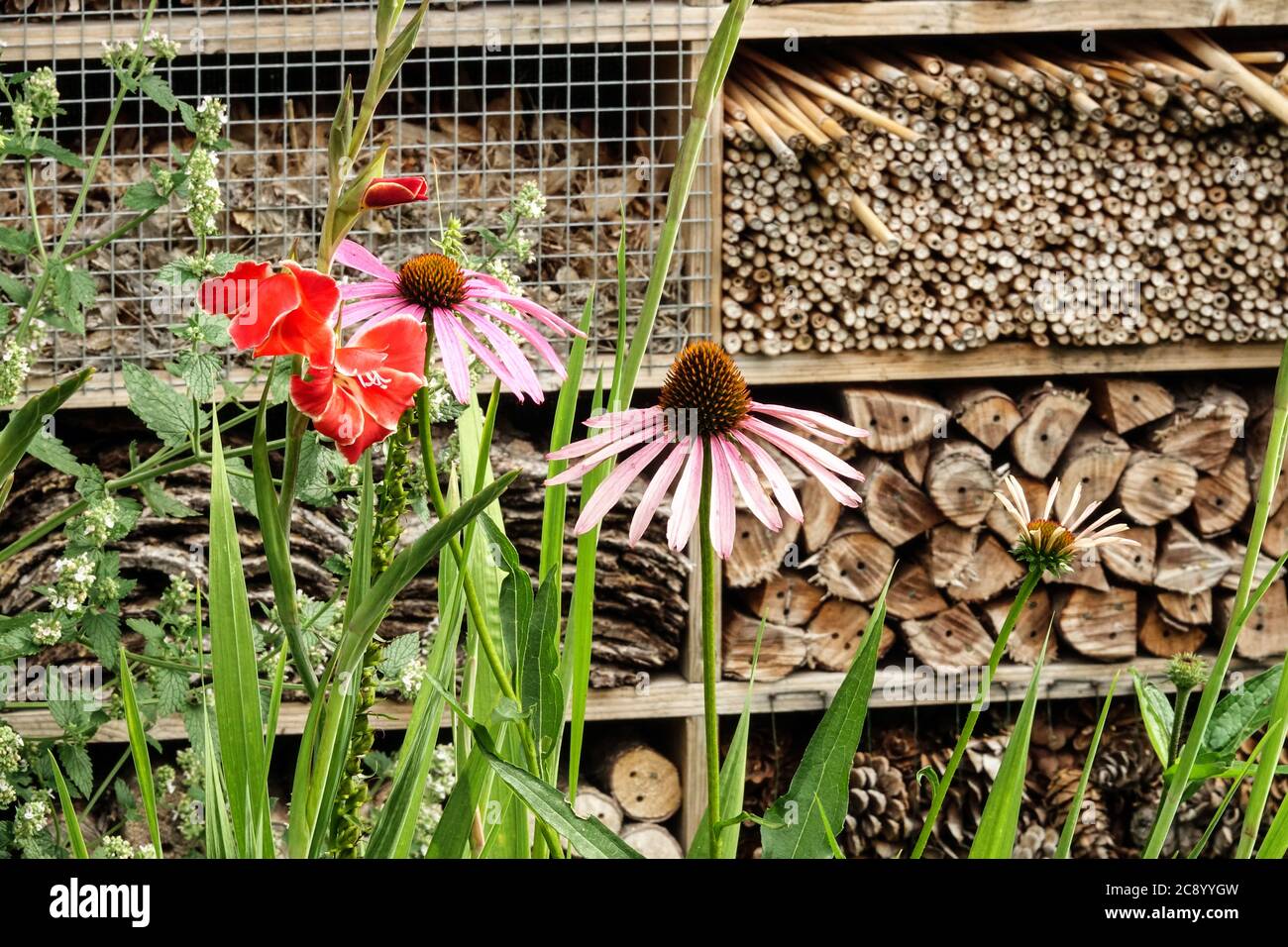 Bug shelter, bug hotel encouraging wildlife, wooden box in garden, refuge place for beneficial insects Insect hotel garden flowers Stock Photo