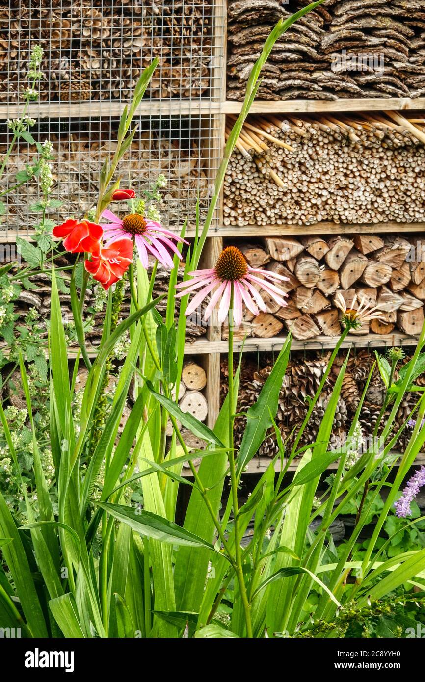 Bug shelter, bug hotel encouraging wildlife, wooden box in garden, flowers Stock Photo