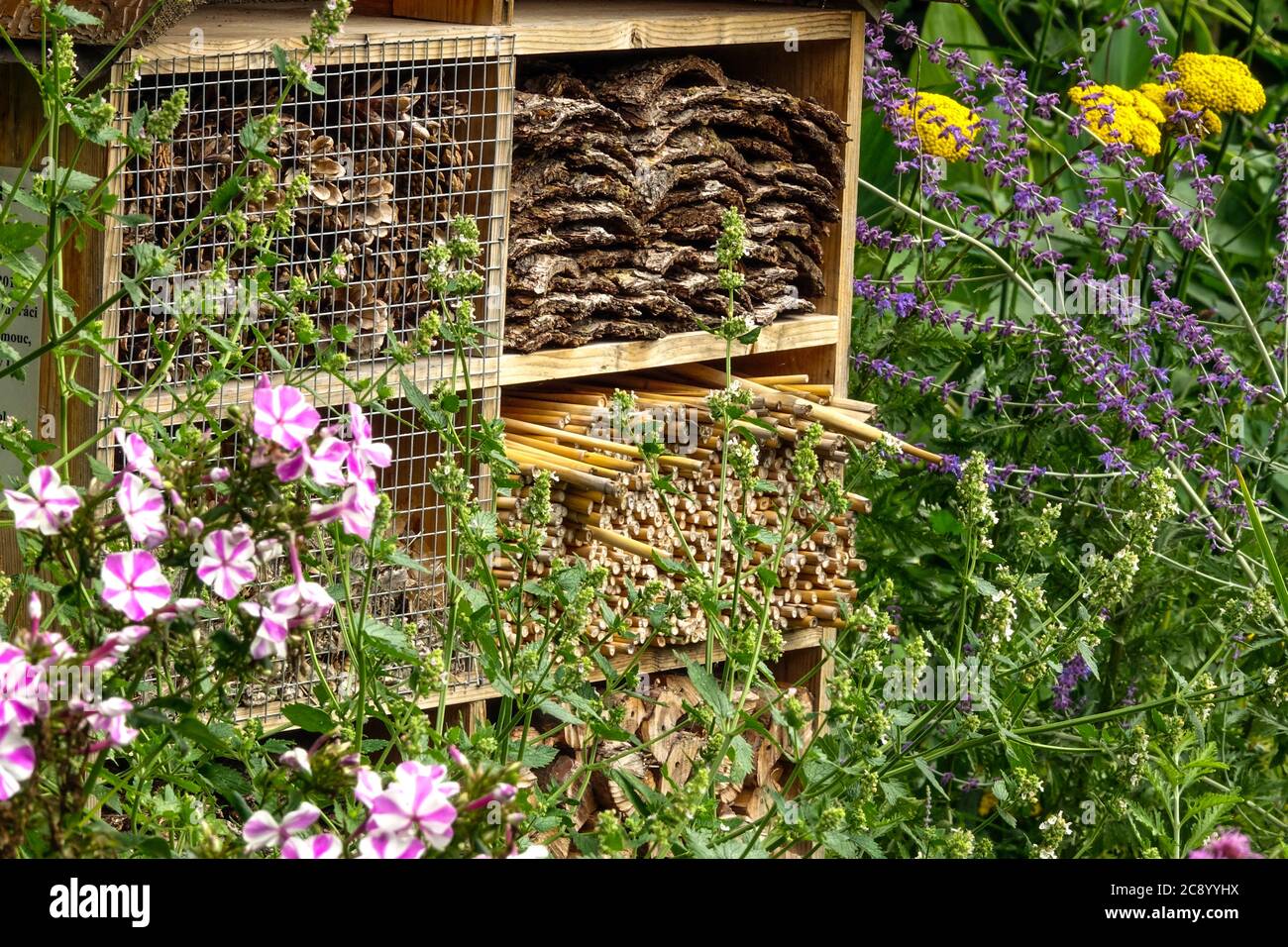 Bug shelter, bug hotel encouraging wildlife in garden hardy perennials flowers Stock Photo