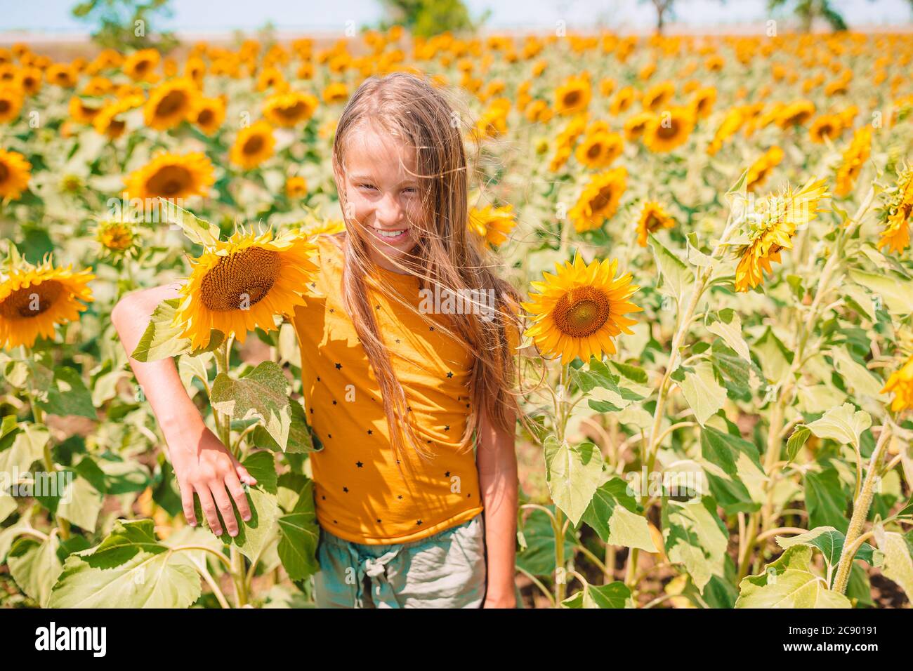 Young girl enjoying nature on the field of sunflowers Stock Photo - Alamy