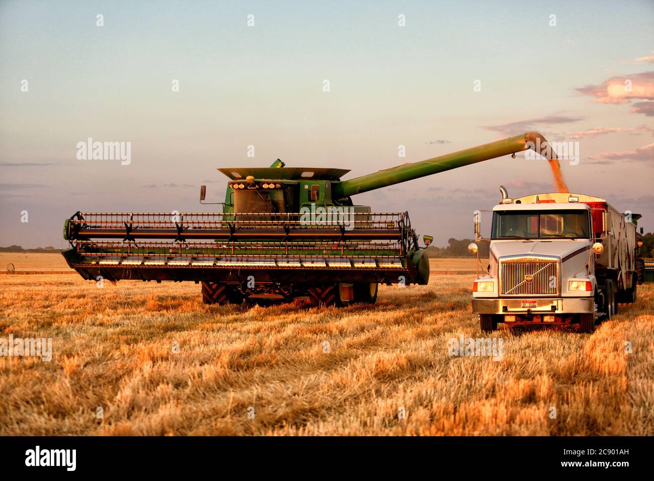 American Falls, Idaho, USA Aug. 8, 2016 Farm machinery harvesting wheat in the fertile farm fields of Idaho. Stock Photo