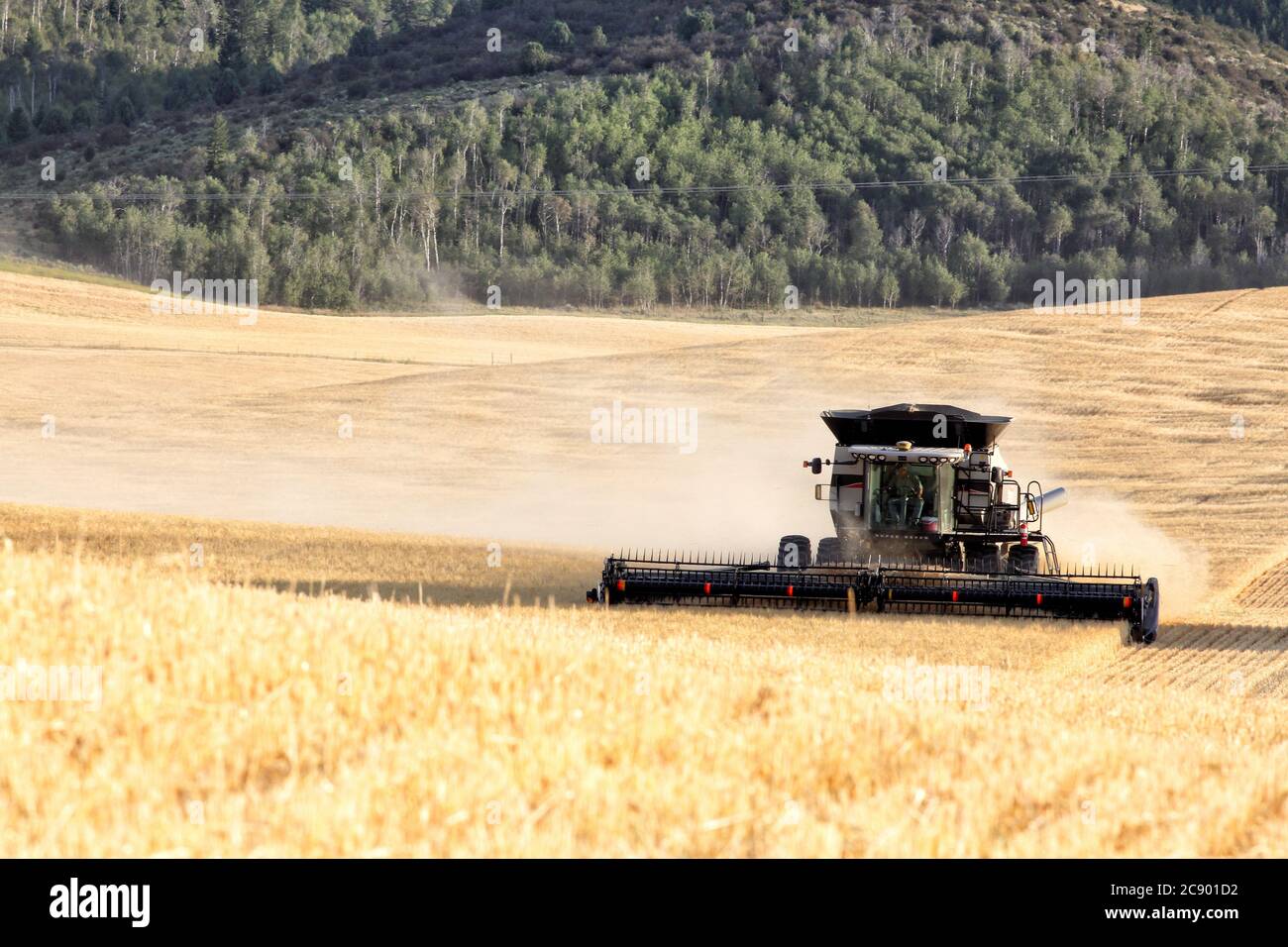 Ririe, Idaho, USA Aug. 8, 2016 Farm machinery harvesting wheat in the fertile farm fields of Idaho, with the Teton Mountain range in the background. Stock Photo