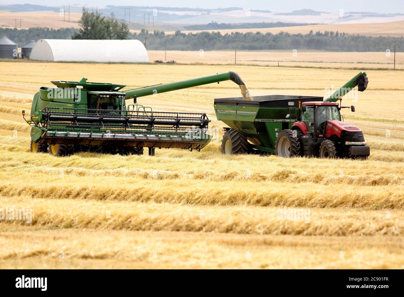 Farm machinery offloading harvested wheat from a combine to a bulk grain cart in the fertile farm fields of Idaho. Stock Photo