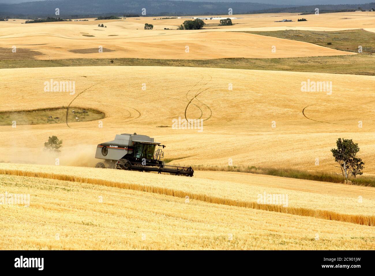 Drummond, Idaho, USA Aug. 8, 2016 Farm machinery harvesting wheat in the fertile farm fields of Idaho, with the Teton Mountain range in the background Stock Photo