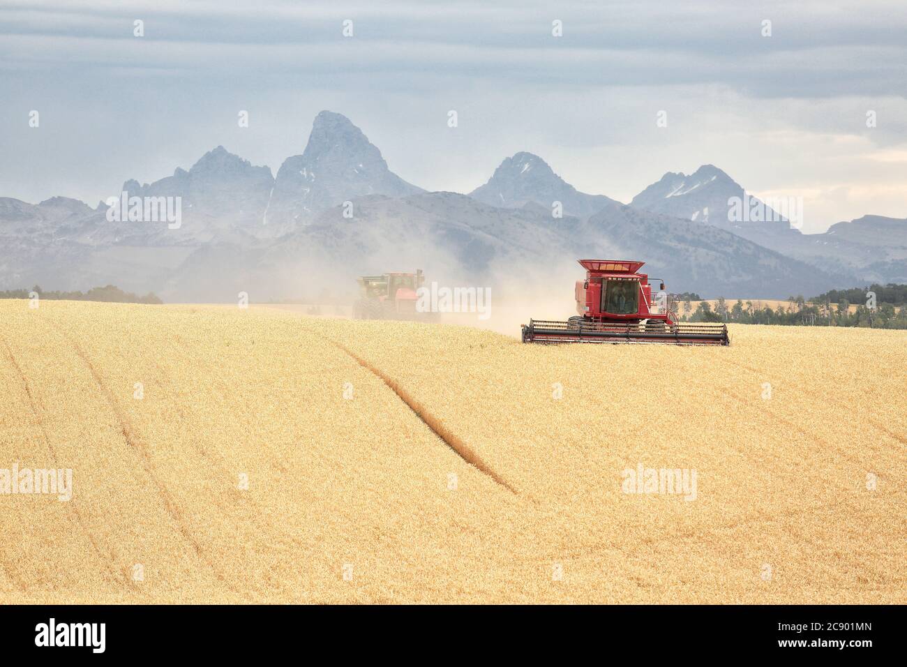 A grain combine works harvesting wheat in the fertile farm fields of Idaho, in front of the Teton mountain range. Stock Photo