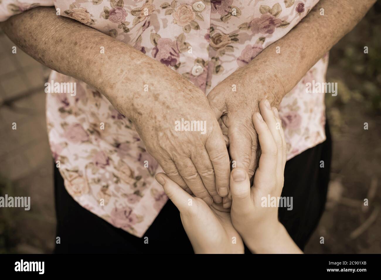 Holding wrinkled hands of an elderly woman and young hands of a teenager, concept of age, family, care and support for family, seniors Stock Photo