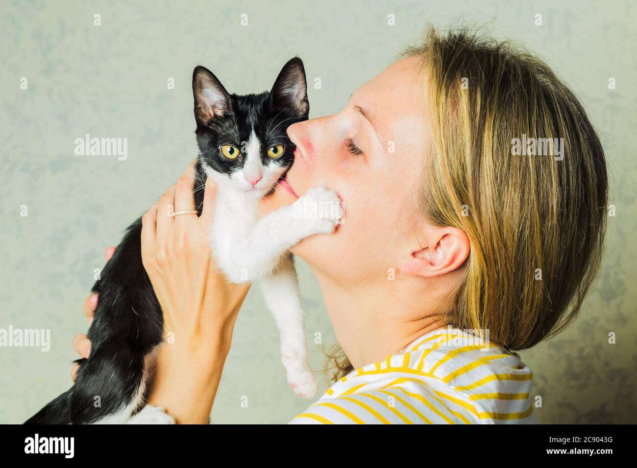 Целовать домашних животных. Почему нельзя целовать кошек. Целовать кошку в нос. Почему нельзя целовать кошек в нос. Фото petting