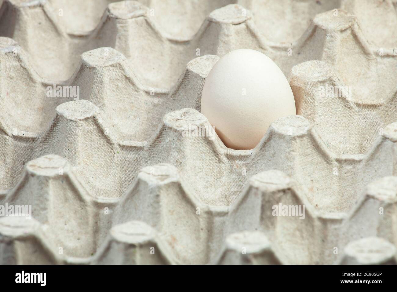 One egg holder hi-res stock photography and images - Alamy