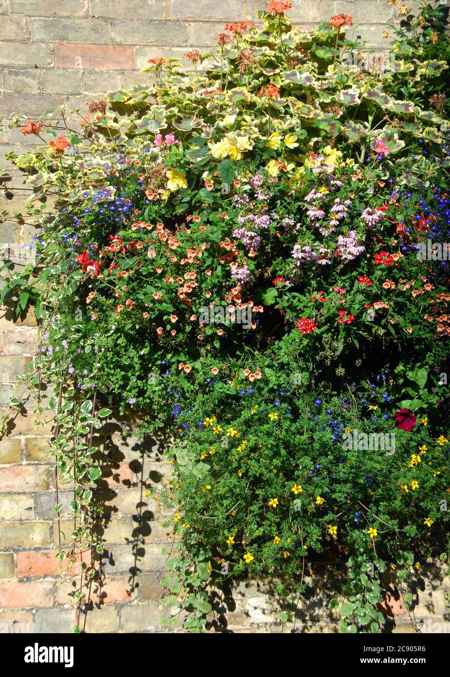 A bountiful bracket wall planter Stock Photo