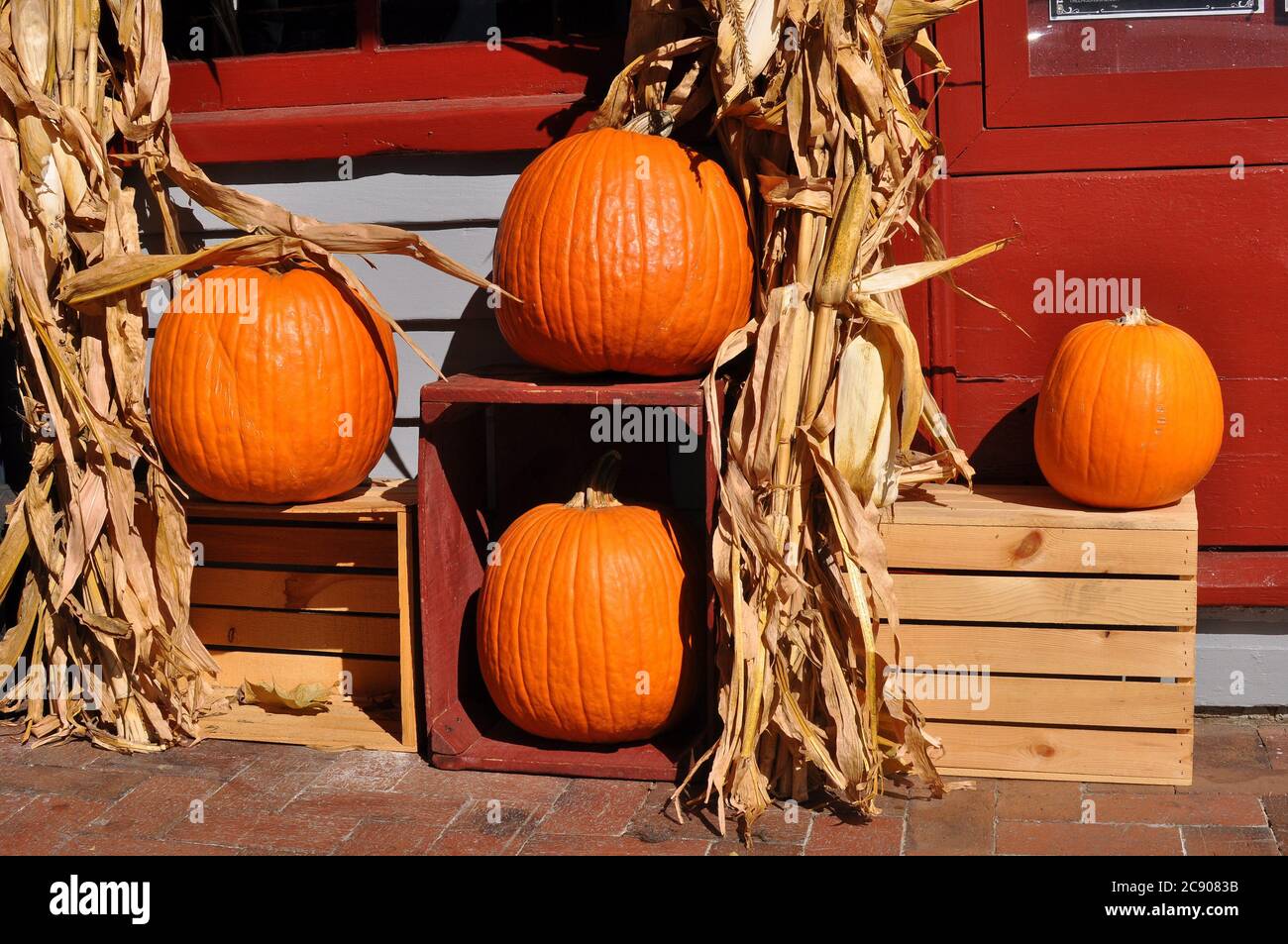 Orange pumpkins on wooden crates as symbol of Autumn and the Fall season Stock Photo