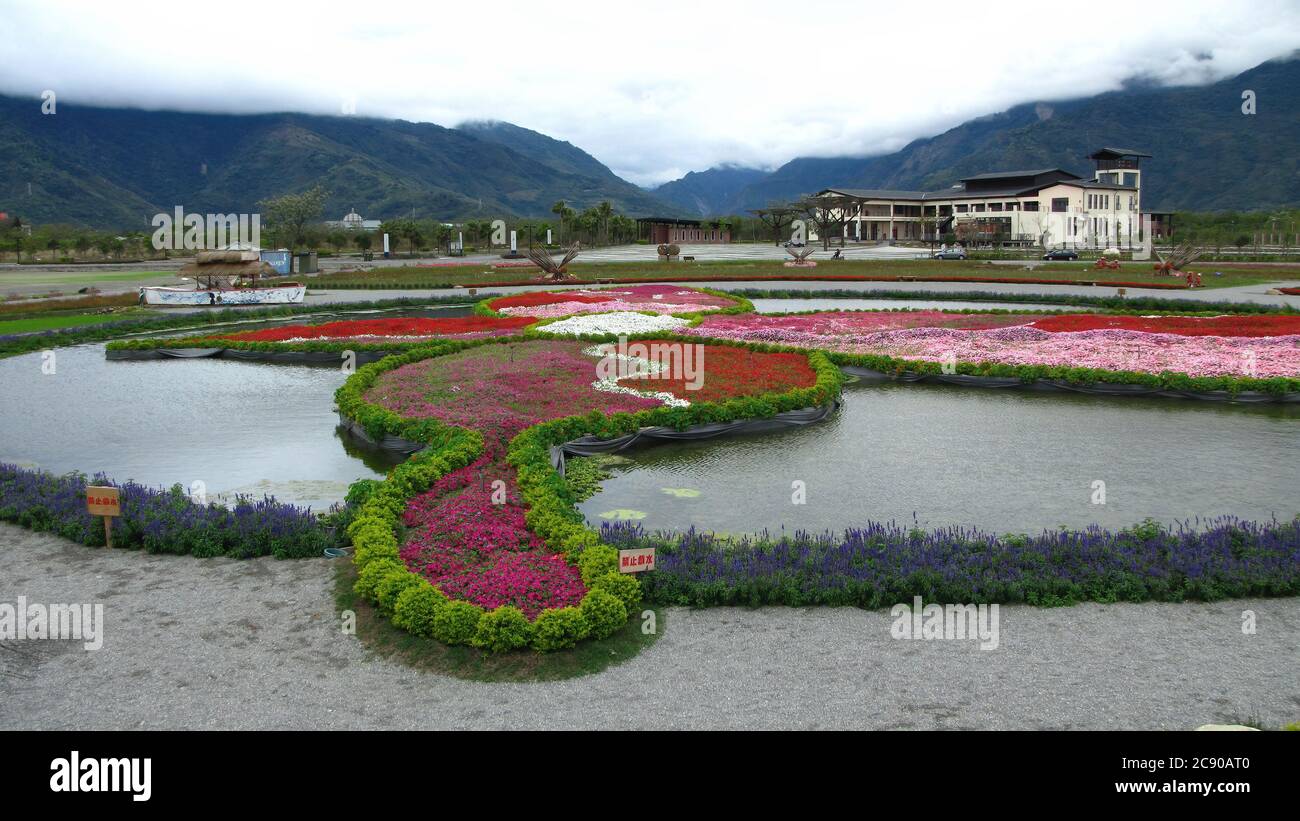 Many flower blossom on the farm at Hualien, Taiwan Stock Photo