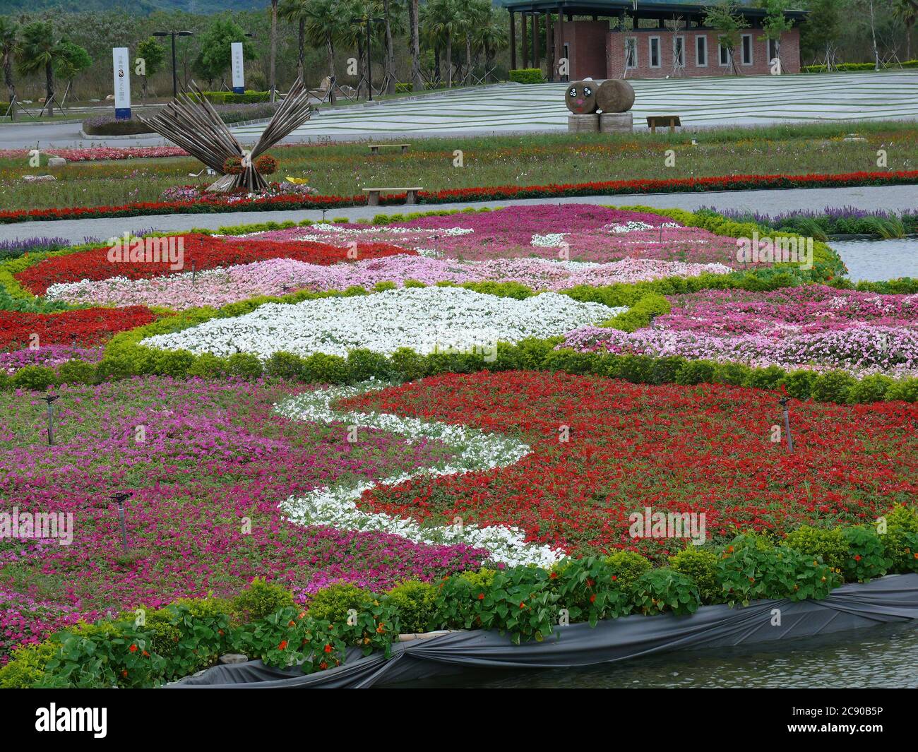 Many flower blossom on the farm at Hualien, Taiwan Stock Photo