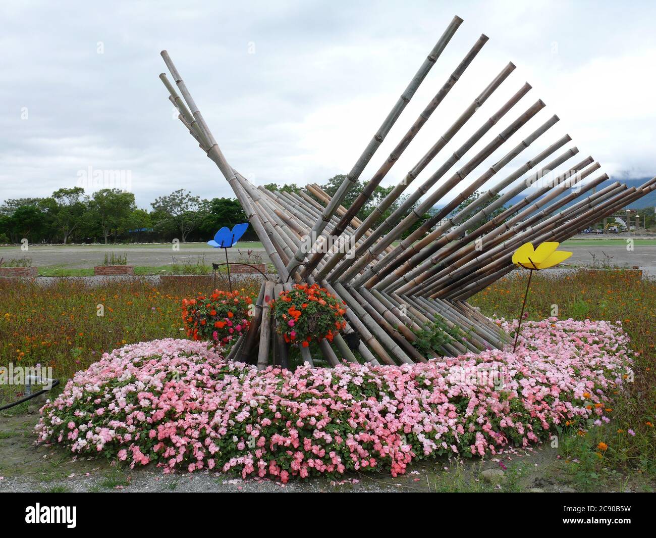 Many flower blossom on the farm at Hualien, Taiwan Stock Photo