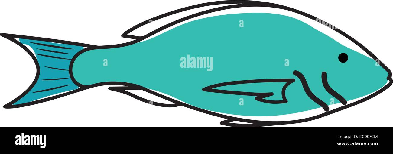 Sketch of a blue fish icon. Animal icon. Healthy food - Vector Stock Vector Image & Art - Alamy Sketch of a blue fish icon. Animal icon. Healthy food - Vector Stock Vector Image & Art - Alamy