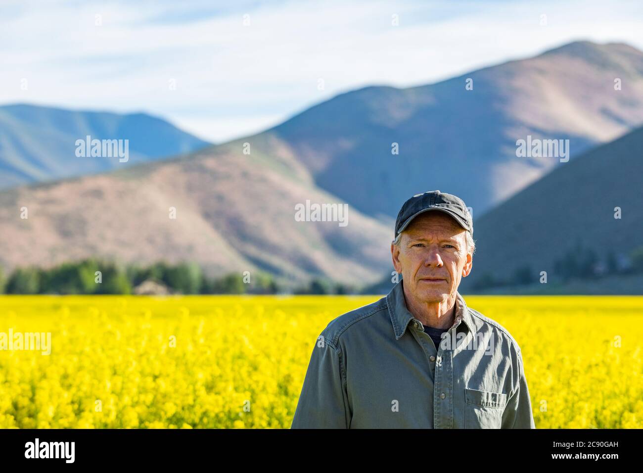 USA, Farmer standing in mustard field Stock Photo