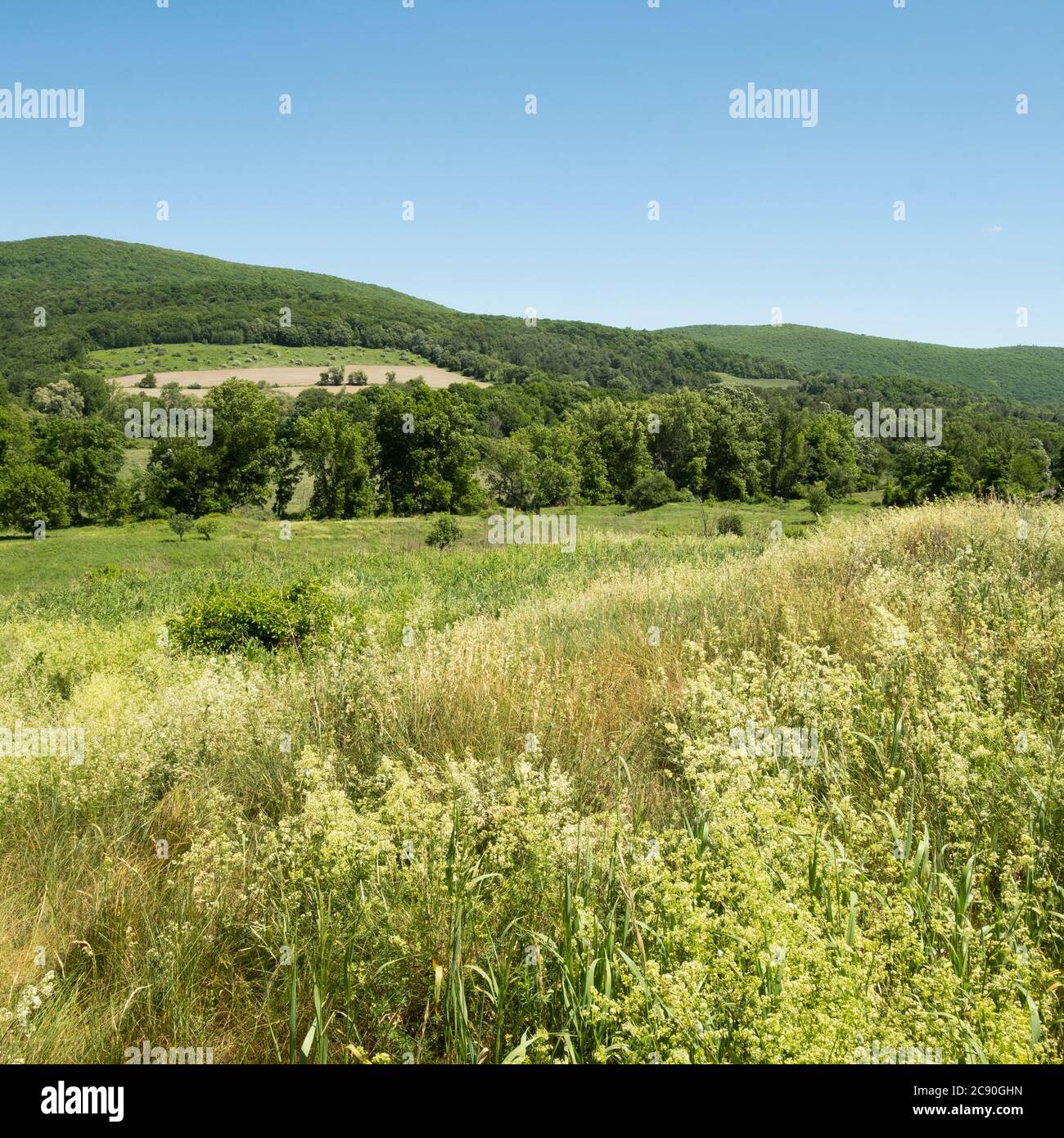 USA, New York, Hillsdale, Green fields and blue sky Stock Photo