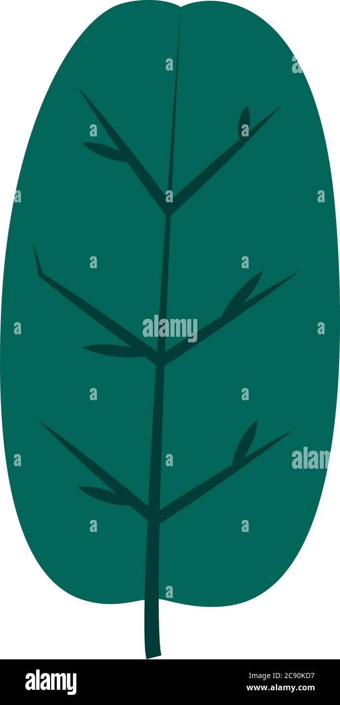tropical leaf flat style icon design of Natural floral nature and plant ...