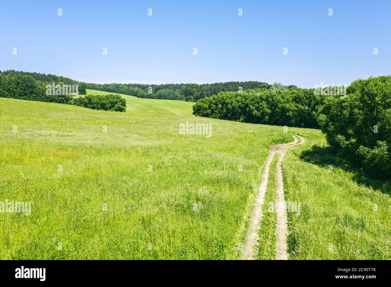 rural dirt road through green meadow and forest under clear blue sky. summer sunny day. drone point view Stock Photo