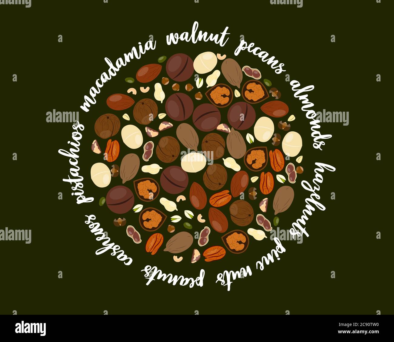 Vector illustration with assorted nuts in flat style Stock Vector