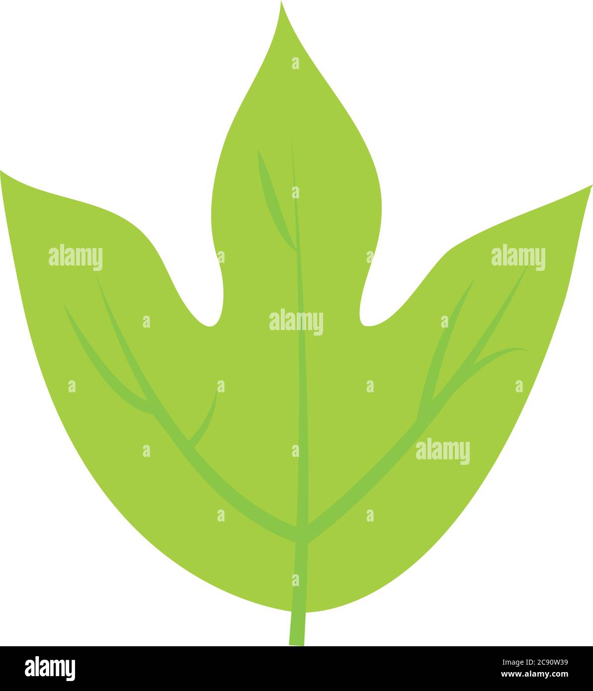 tropical leaf flat style icon design of Natural floral nature and plant ...
