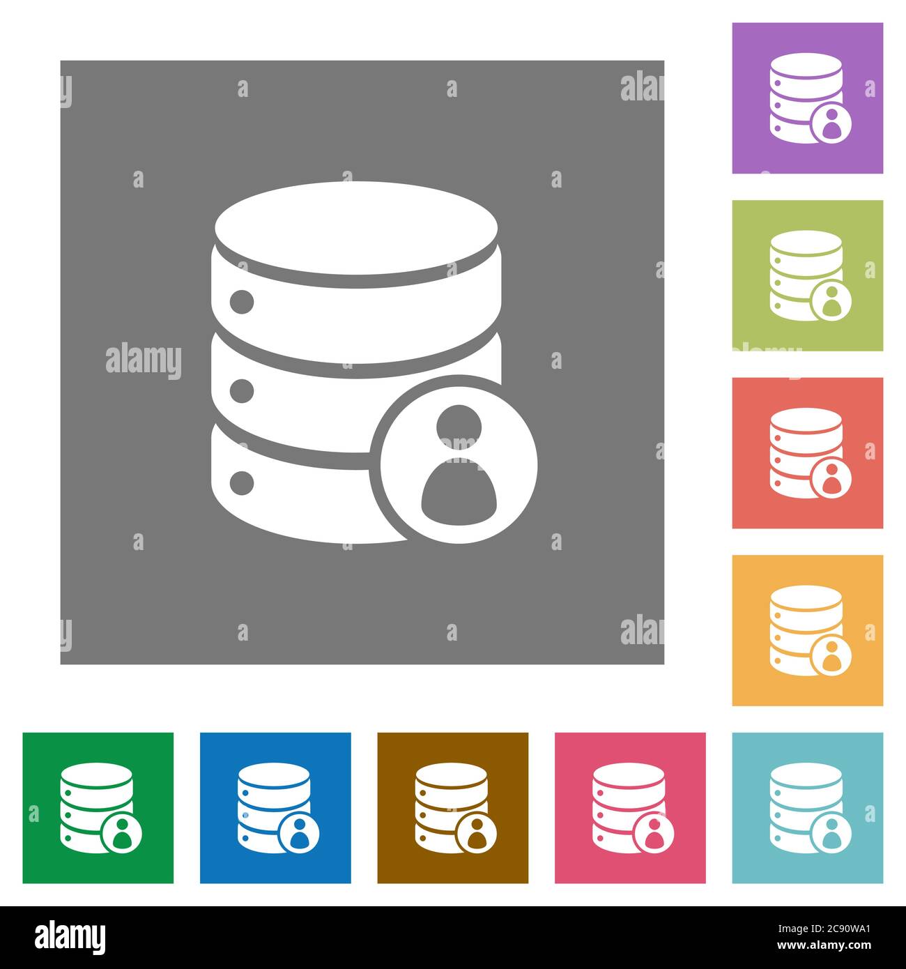 Database privileges flat icons on simple color square background. Stock Vector