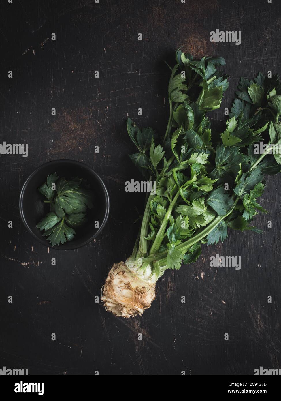 Celery root apium graveolens with green leaves on dark background