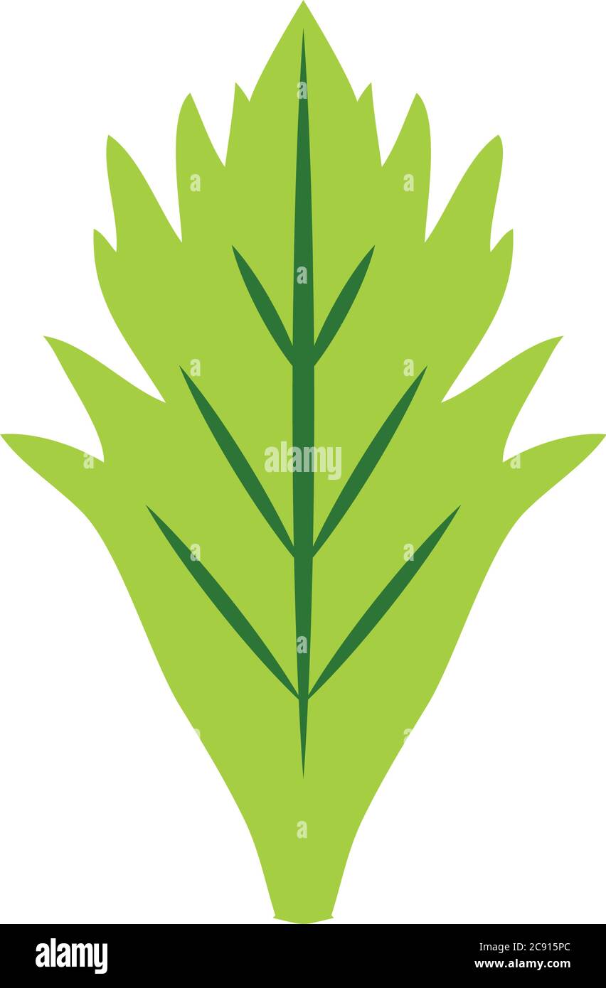 tropical leaf flat style icon design of Natural floral nature and plant ...