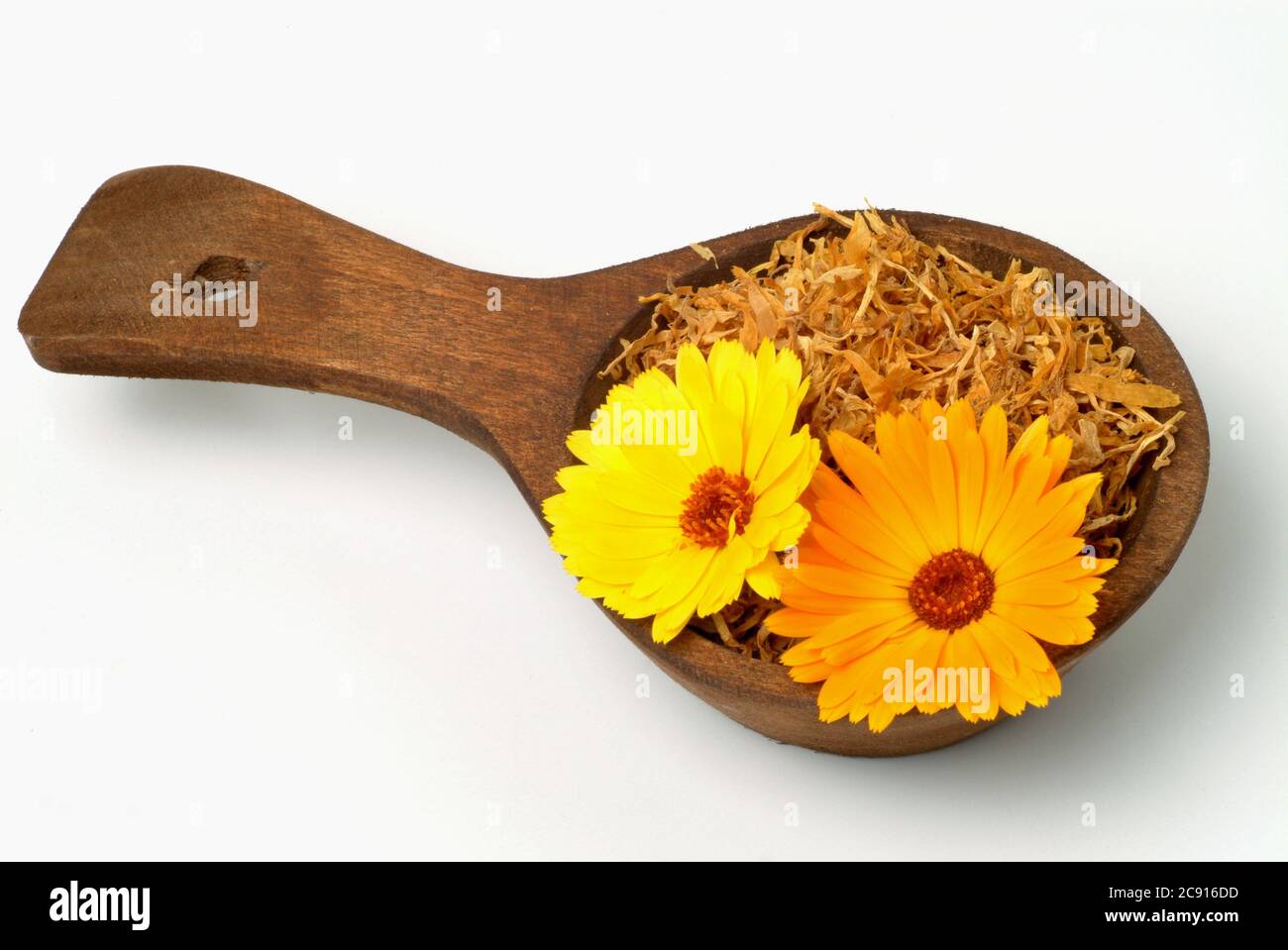 Marigold, Calendula officinalis. Pharmaceutically the dried flower heads are used. The pharmaceutical drug reduces inflammation and promotes the forma Stock Photo