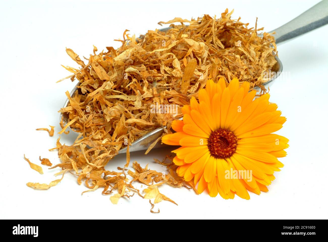 dried flowers of calendula, Calendula officinalis. Pharmaceutically the dried flower heads are used. The pharmaceutical drug reduces inflammation and Stock Photo