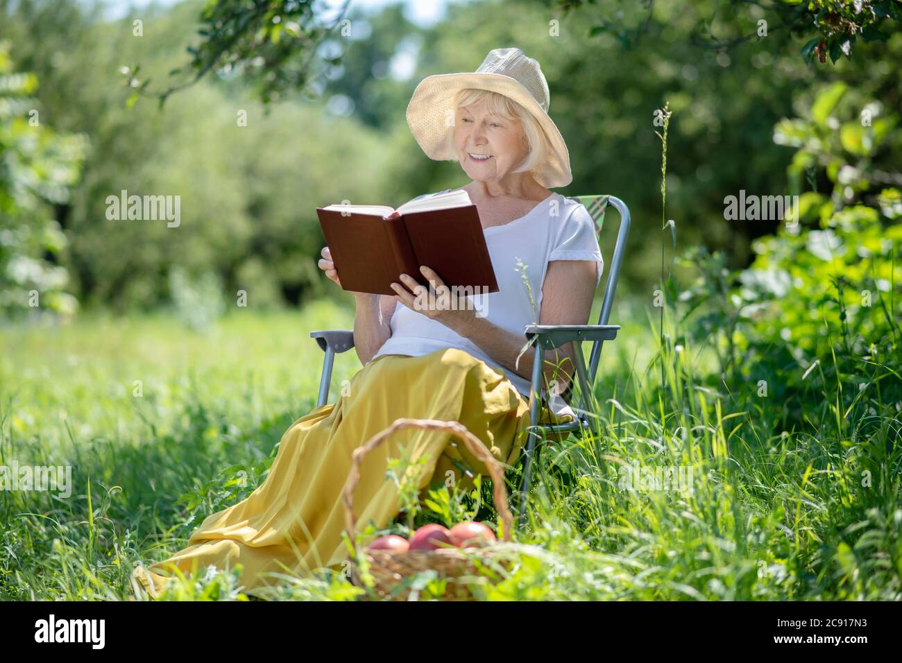 Elderly woman reading a book while sitting in a chair Stock Photo - Alamy