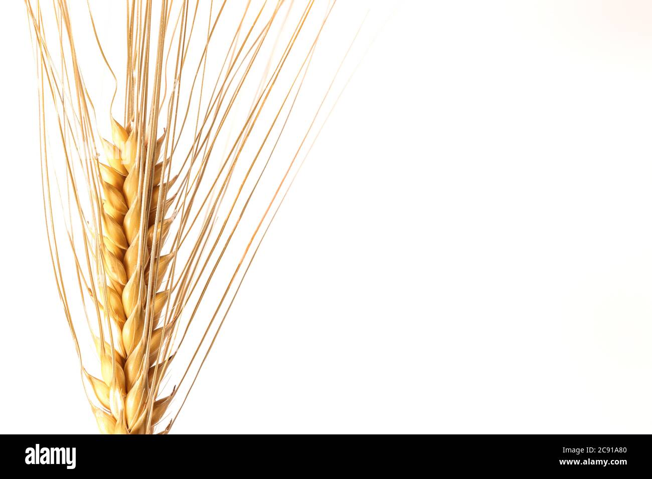 Tworow barley is traditionally used in German and English beers. Six