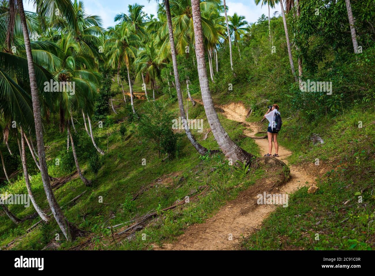 Footpath through palm forests and the jungle along a muddy road to Salto de Limon waterfall located in the centre of the tropical forest, Samana, Domi Stock Photo