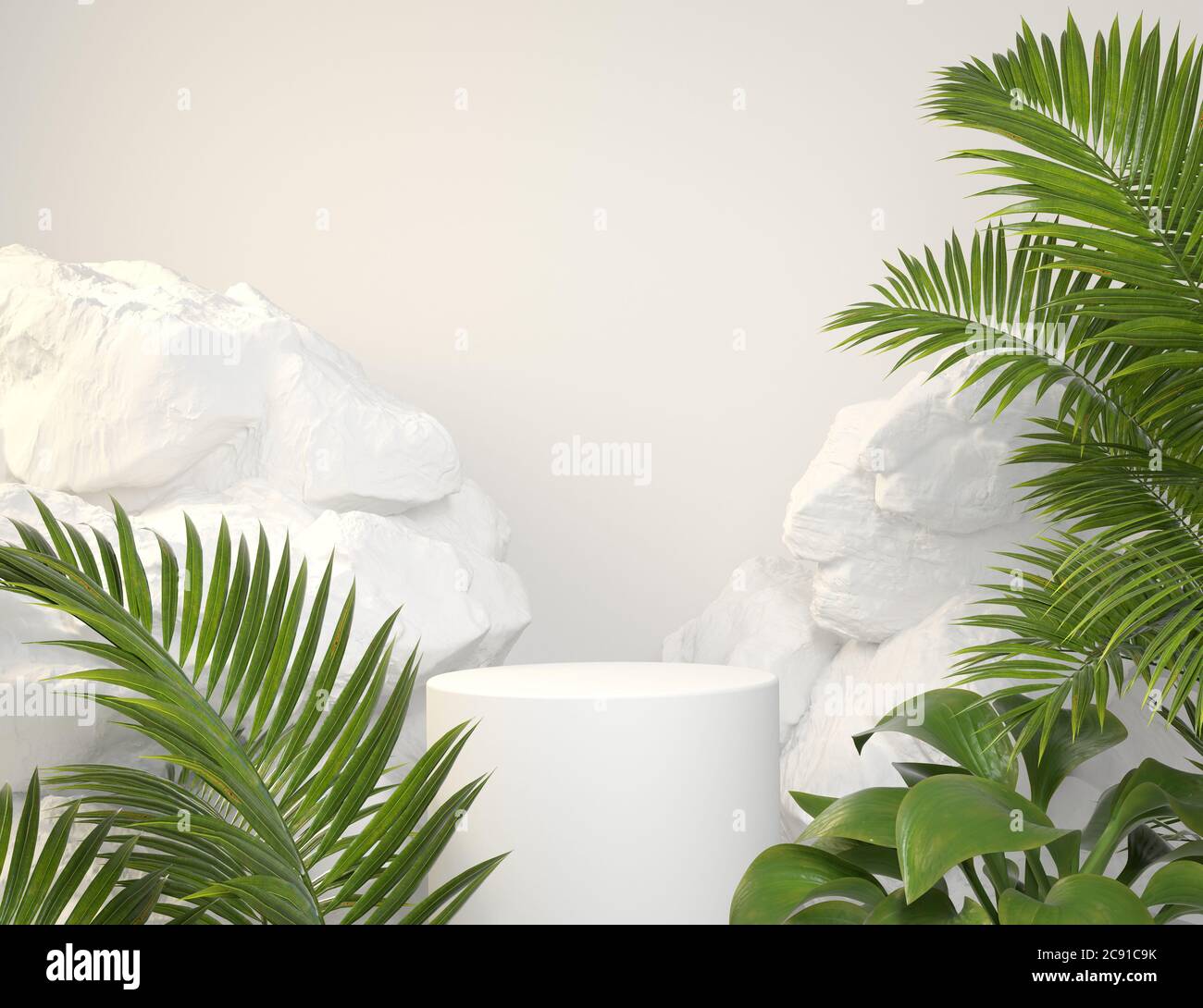 Download Mockup White Podium With Green Tropical Plants And Rock Background 3d Render Stock Photo Alamy
