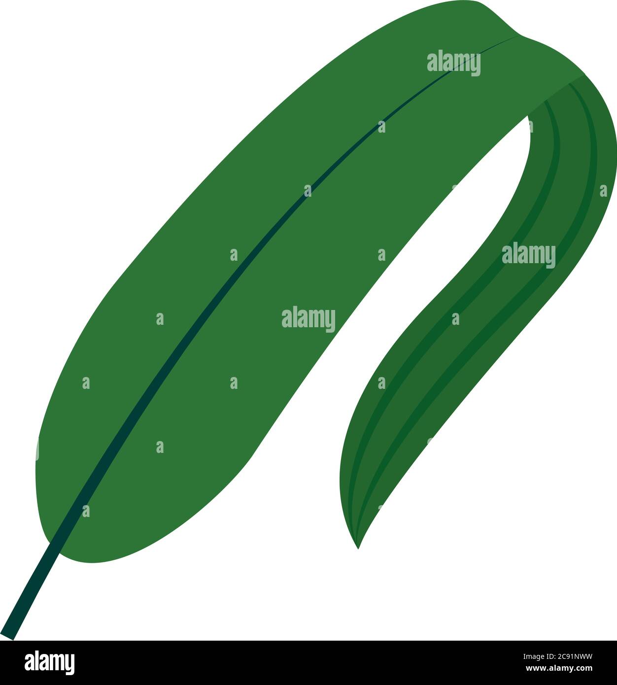 tropical linear leaf flat style icon design of Natural floral nature ...