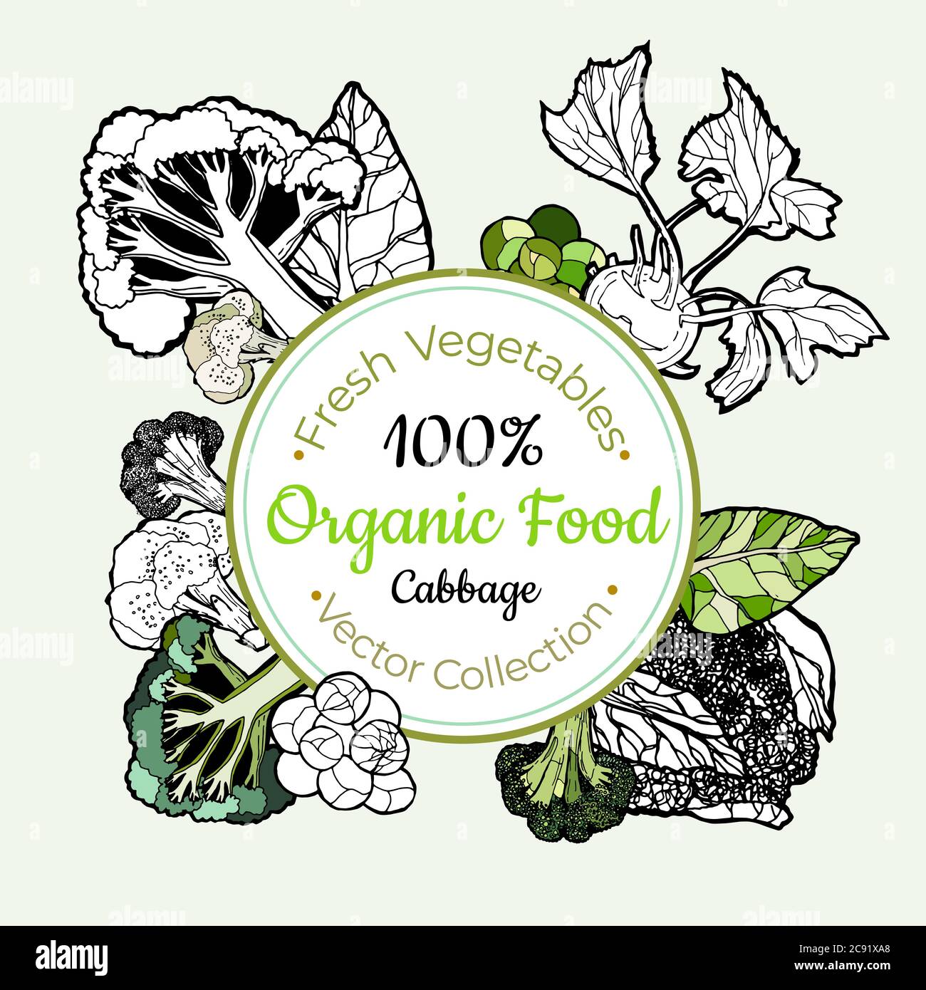 Cabbage broccoli vegetable groceries vintage vector sticker Stock Vector