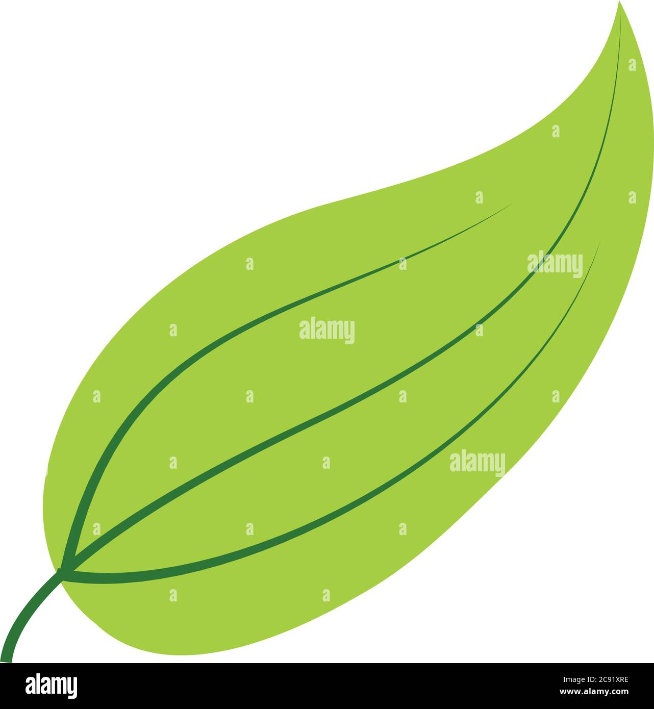 tropical leaf flat style icon design of Natural floral nature and plant ...
