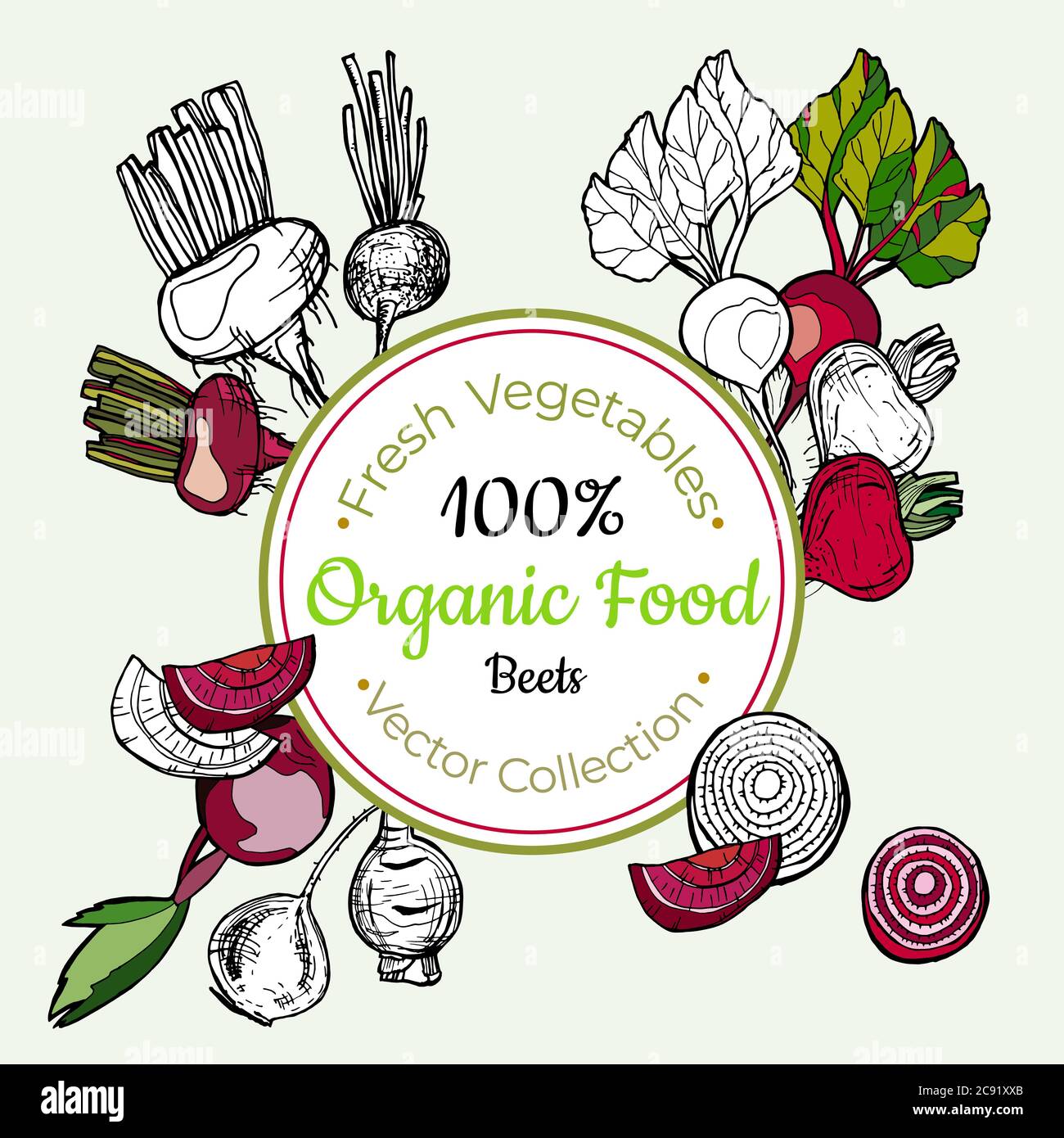 Beets vegetable groceries vintage vector sticker, poster, label