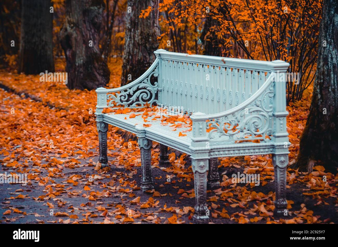 Ancient vintage decorative bench strewn with leaves in autumn park Stock Photo