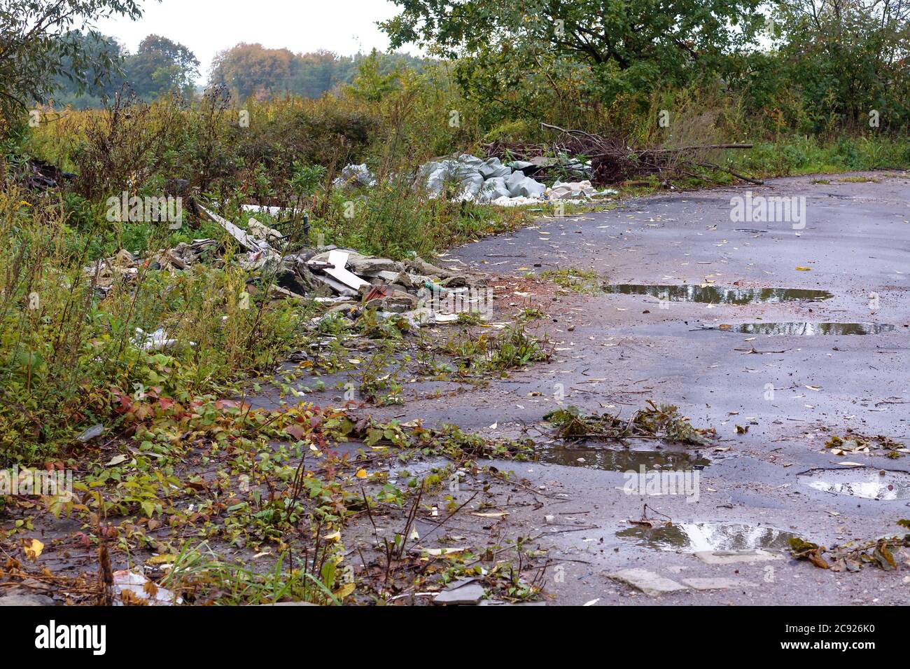 garbage dump in the forest, human pollution Stock Photo - Alamy