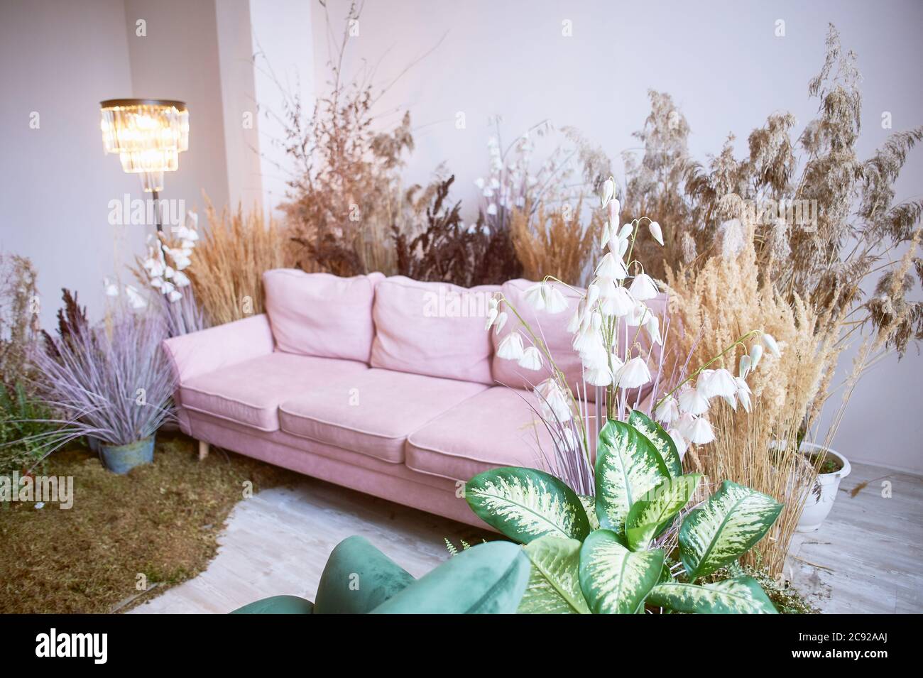 The interior is eco-style.Pink sofa with voluminous pillow. Moss on the floor, cereals, fern, pampas and dried flowers. Pastel wreaths. Stock Photo