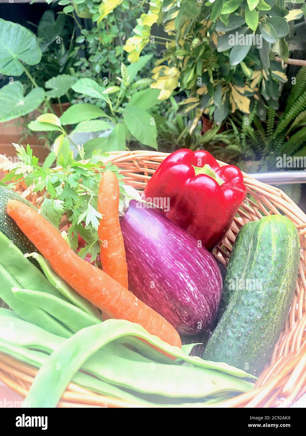 Verduras frescas y hortalizas Stock Photo