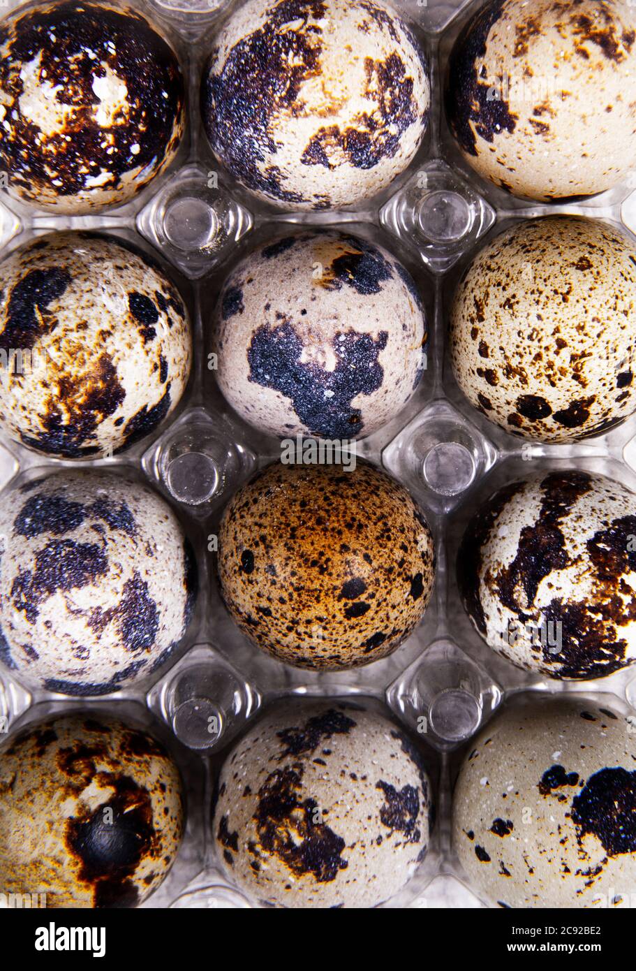 Healthy quail eggs are regularly or irregularly placed inside or outside the container. Stock Photo