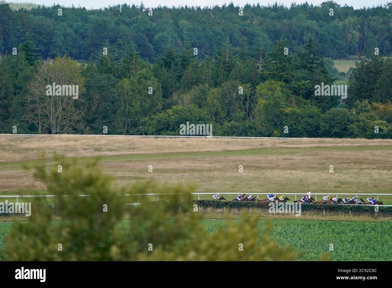 Maydanny ridden by Silvestre De Sousa riding (right) on their way to winning The Unibet You're On Handicap during day one of the Goodwood Festival at Goodwood Racecourse, Chichester. Stock Photo