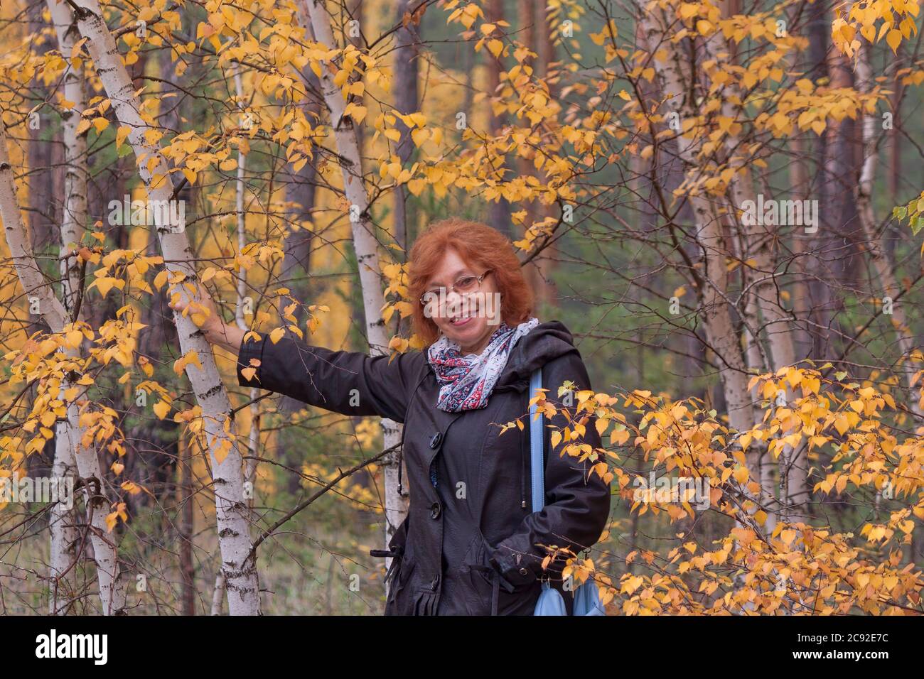 A woman of mature age in the forest next to a birch with yellow leaves. Autumn, October Stock Photo