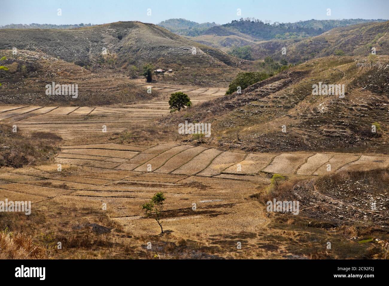 Dry agricultural fields during dry season in East Sumba, East Nusa Tenggara, Indonesia. Stock Photo