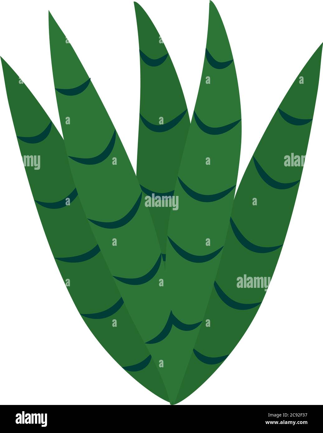 tropical aloe vera leaves flat style icon design of Natural floral ...