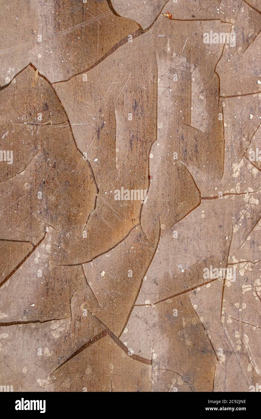Gray wood background. Dark wood texture. Stock Photo
